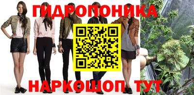 крисы Краснодар