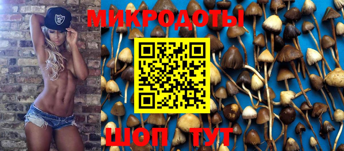 Еманжелинск  Псилоцибиновые грибы мухоморы  Вход с VPN 