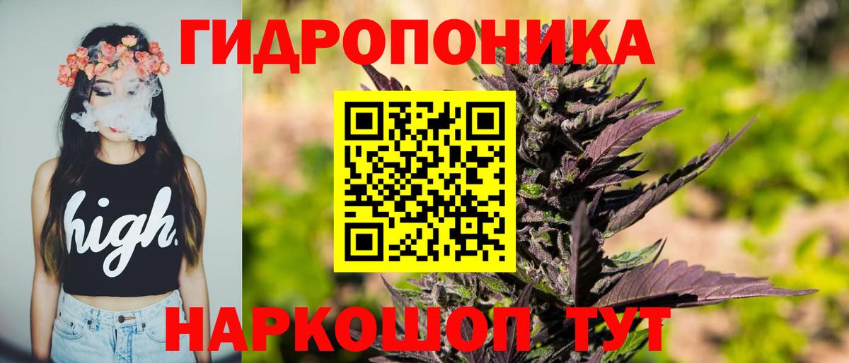 Канабис Bruce Banner  Бошки марихуана гибрид  Вход с VPN  Шишки марихуана марихуана  Еманжелинск 